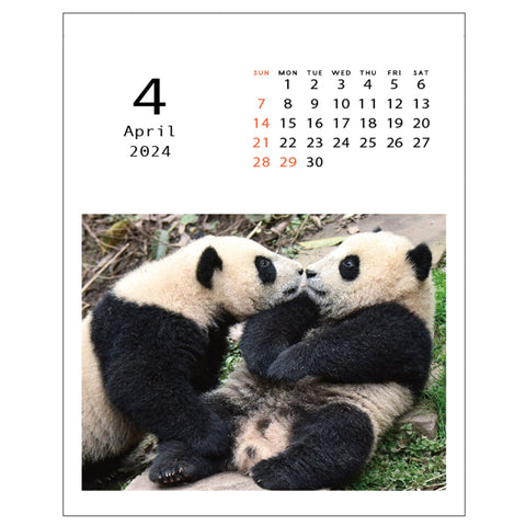 Greeting Life Desktop Calendar 2024 C-1522-PA