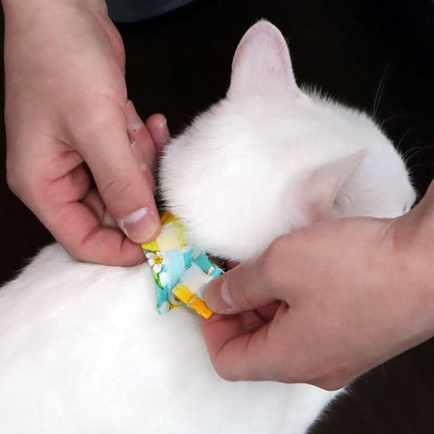 COCOLUCK  Cat Bandana CO-6197-BANANACAT