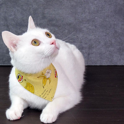 COCOLUCK  Cat Bandana CO-6197-BANANACAT