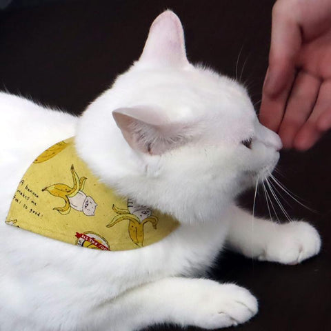 COCOLUCK  Cat Bandana CO-6197-BANANACAT