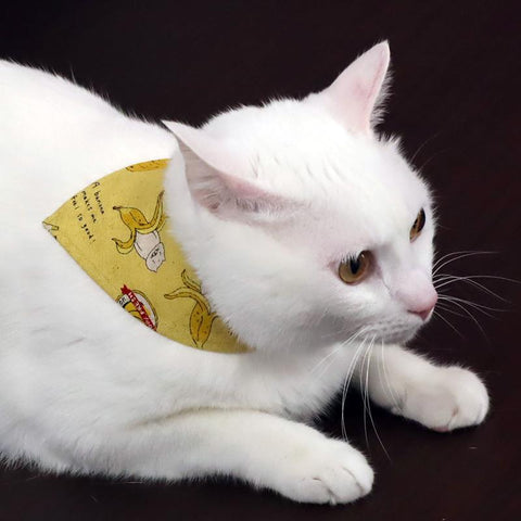 COCOLUCK  Cat Bandana CO-6197-BANANACAT