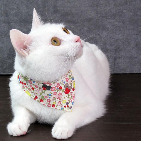 COCOLUCK  Cat Bandana CO-6197-CATFLOWER