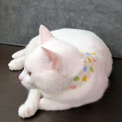 COCOLUCK  Cat Bandana CO-6197-CHICK