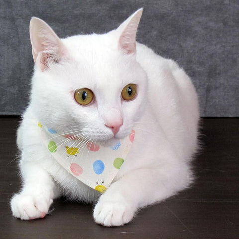 COCOLUCK  Cat Bandana CO-6197-CHICK