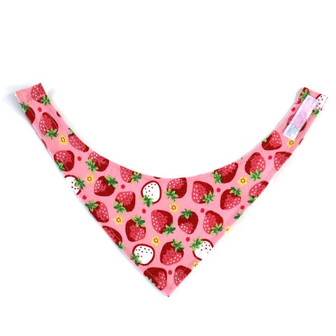 COCOLUCK  Cat Bandana CO-6197-STRAWBERRY