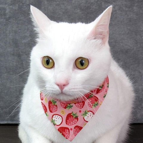 COCOLUCK  Cat Bandana CO-6197-STRAWBERRY