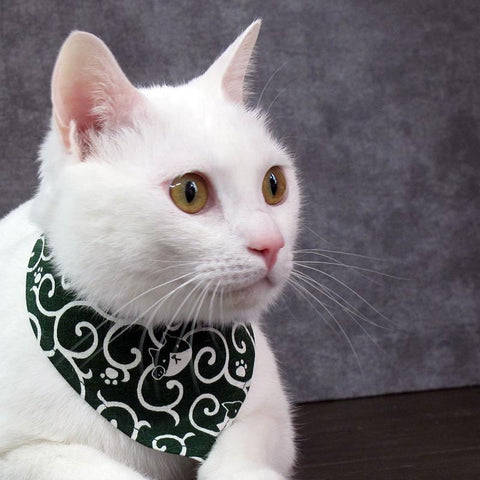 COCOLUCK  Cat Bandana CO-6197-ARABESQUE