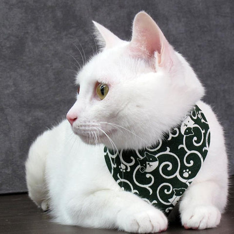 COCOLUCK  Cat Bandana CO-6197-ARABESQUE