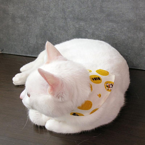 COCOLUCK  Cat Bandana CO-6197-KOBAN