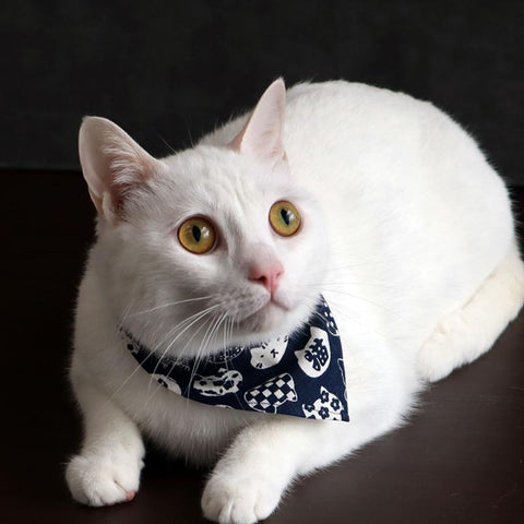 COCOLUCK  Cat Bandana CO-6197-NAVYCAT