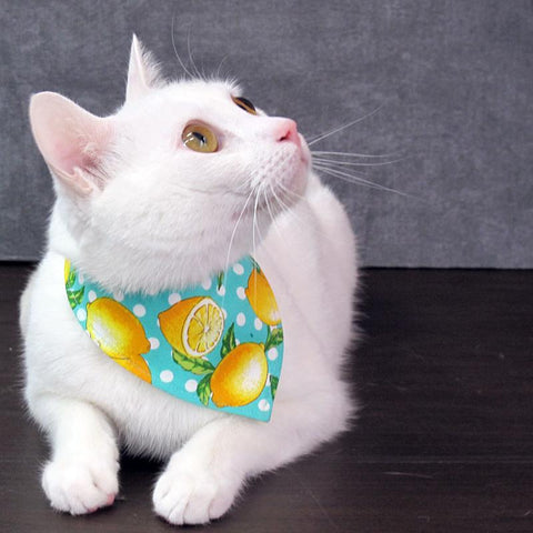 COCOLUCK  Cat Bandana CO-6197-LEMON