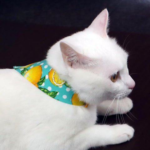 COCOLUCK  Cat Bandana CO-6197-LEMON