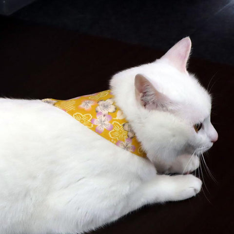 COCOLUCK  Cat Bandana CO-6197-YELLOWCHERY